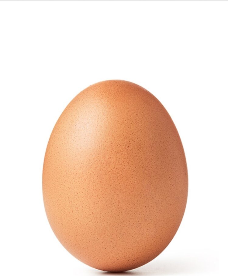 البيضة أم الدجاجة؟؟