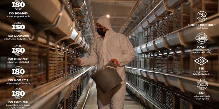 أتمتة مزارع الدواجن