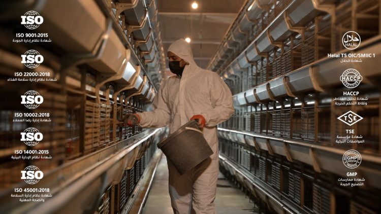 أتمتة مزارع الدواجن