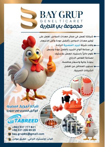 مجموعة بي التجارية