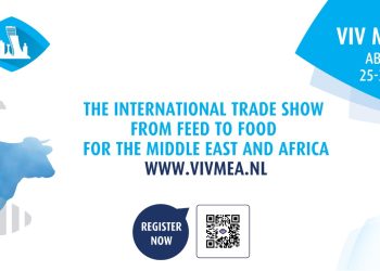 فيف أبو ظبي 2025