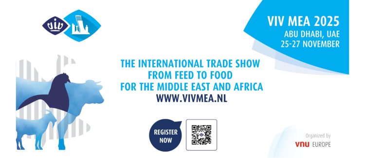 فيف أبو ظبي 2025