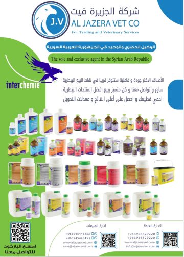 الجزيرة فيت