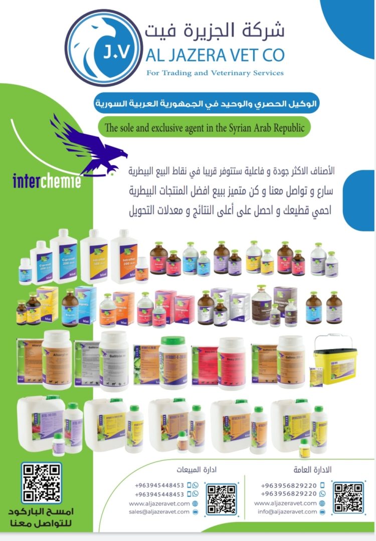 الجزيرة فيت