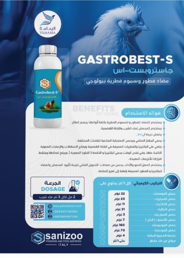 مسودة تلقائية