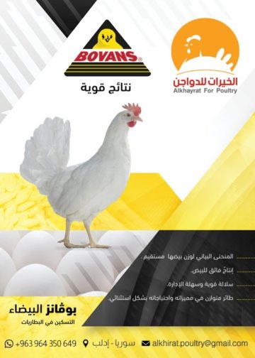 الخيرات للدواجن