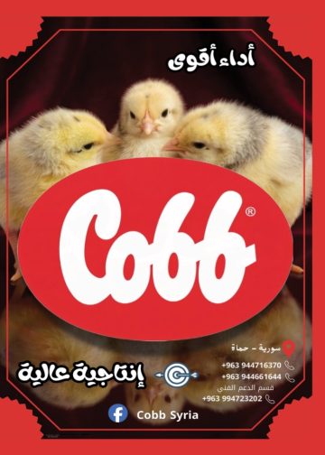 كوب سورية